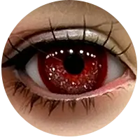 6.webp